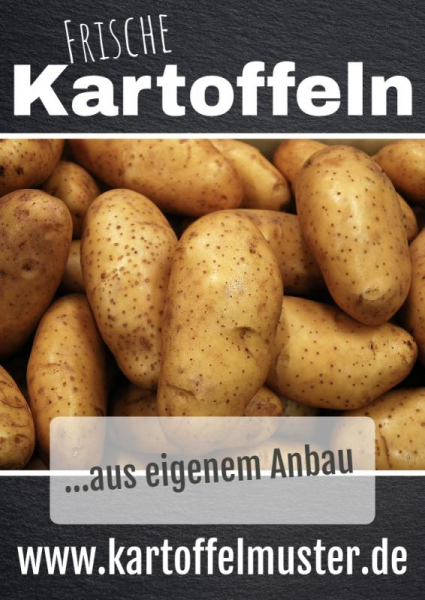 Kartoffelbanner | Werbebanner | Plane | PVC-Banner | Frische Kartoffeln |