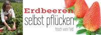 Erdbeeren selbst pfücken | Banner | Werbebanner | Erdbeeren | Online selbst gestalten | Bannerwerbung | Erdbeere | Erdbeeren selbst pfücken | Banner | Werbebanner | Erdbeeren | Online selbst gestalten | Bannerwerbung | Erdbeere |